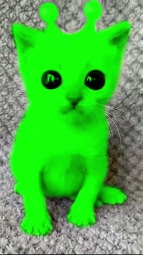 Sigue vivo y peor salió #ajolotitos #fnaf#shaggy #gato#alien