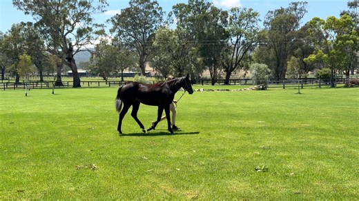 Headwater x Sidorova