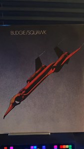 307 reactions · 18 shares | Budgie-Squawk 1972 “Rocking Man” #hardrock | Jonie Strauss S S. | Facebook