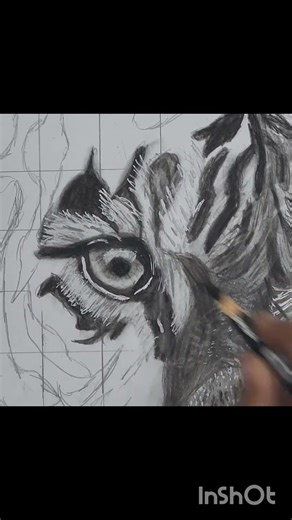 Part 1 of hyperealistic sketch of an tiger||sketching lovers #trending#short#tiger#sketching
