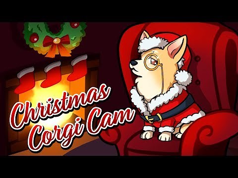 Jet's Christmas Corgi Cam