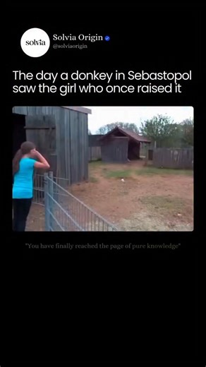 Love is Love 💕 | Victoria Principal