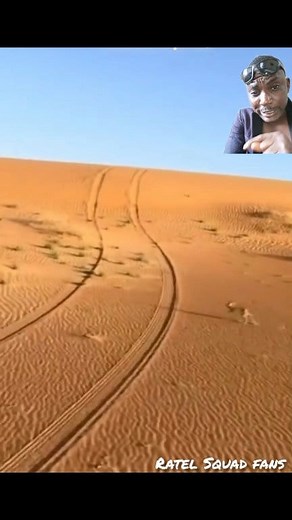 287K views · 4.3K reactions | Small piepi trying to escape from the hawk. #viralvideochallenge #animallover #birdlovers #goviral #gehgeh | Ratel Sqard fans | Facebook