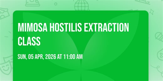 Mimosa Hostilis Extraction Class