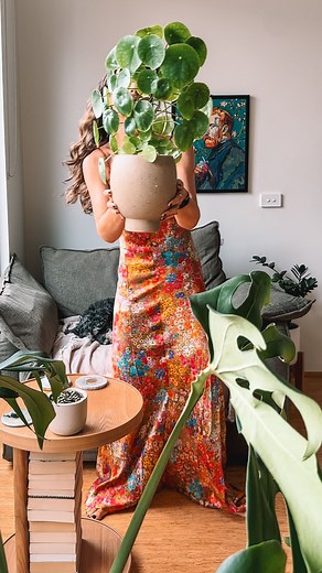 38K views · 5.9K reactions | What’s your plant travel hack!? I like...