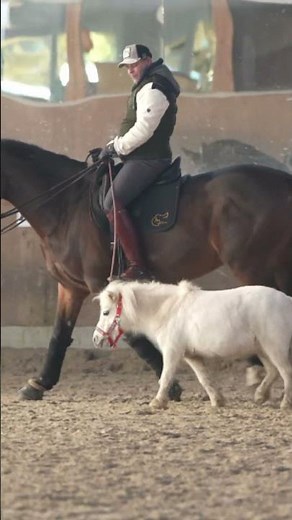 Any und Wilma - Tutorial worauf musst du achten wenn du mit Pony reitest