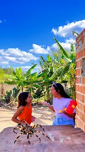 126K views · 509 reactions | Matando o inseto | Aline.Oficial | Facebook