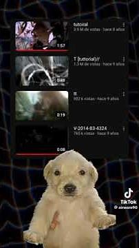 El caso de Alan tutorial | Caso explicado