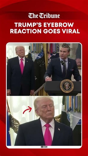 Trump’s epic eyebrow raise at War Secy Hegseth sparks viral reactions across social media.
