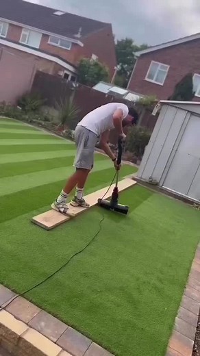Next Level Stripes Lawn Care and Landscaping Services