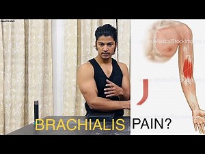 HOW TO RECOVER FROM BRACHIALIS PAIN ?