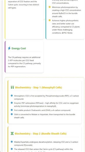 C4 pathway Hatch-Slack pathway: Anatomy, biochemistry, and ecological significance
