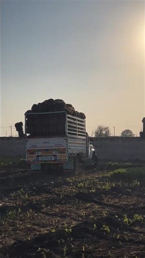 Loading Point 👉 Of Bolero Pickup 😱💪 Powerful Stunt Video 😎#trending #pickup #stunt #shortvideo