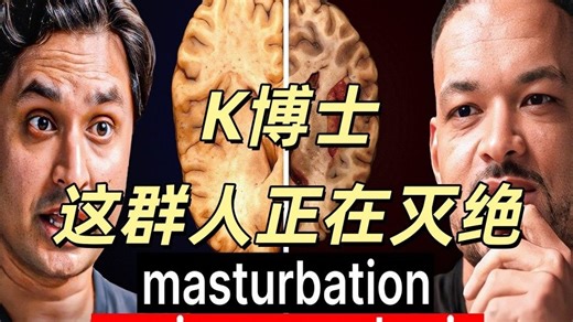 【中英双语+精校文稿】CEO日记对话K博士：大脑正被自慰快感重塑，最终沦为快感绝缘体|沉浸式学习|双字原声磨耳朵|学习|提升|听力