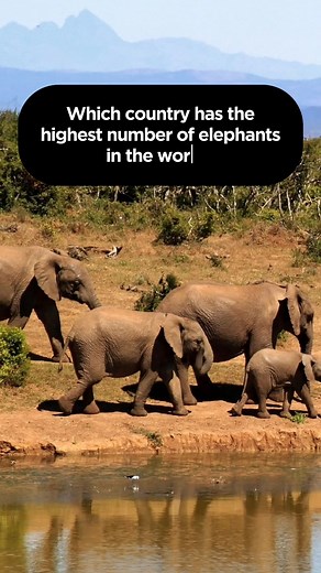 Fun Trivia Facts Quiz: Test Your Knowledge!