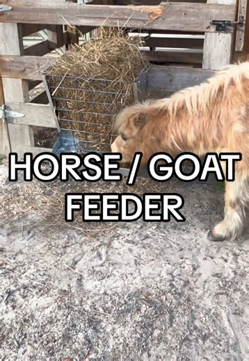 Ultimate Hay Holder and Feeder for Farm Animals