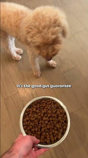 You heard it here first... Brothers Dog Food is officially on Chewy! 🤩💙