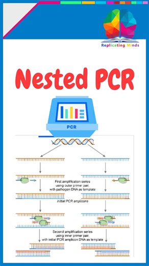 Nested PCR #csir #biology #neet #lifesciences #education #phdinterview #pcr #science