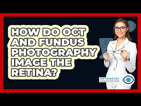 How Do OCT And Fundus Photography Image The Retina? - Optometry Knowledge Base