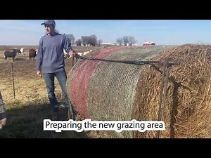 Large Scale Rotational Grazing with Sheep