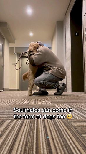 Best friends for life 😭 #dogsofttiktok #puppylove #doglover #dogs #lunatheminicockapoo