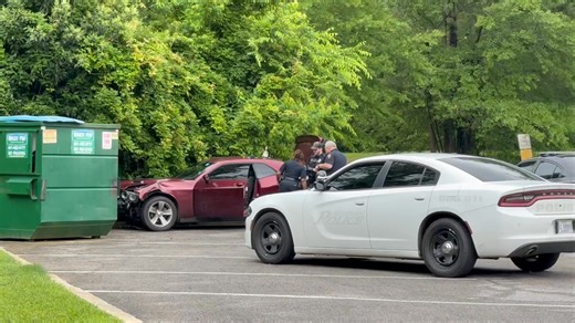 Scotty Ray Report on Reels