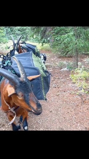 26M views · 729K reactions | Hiking & Camping With Friends! The Firebox Crew! #bushcraft #hiking #backpacking | Firebox Stove | Facebook