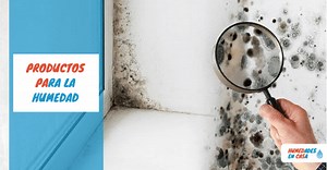 ▶ Los mejores productos para la humedad de tu casa »【2026】