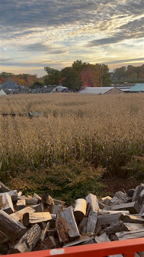 It’s another great Fall weekend to visit Connors Farm! Apples, pumpkins, corn maze and at night….Hysteria! #applepicking #pumpkinpatch #cornmaze | Connors Farm