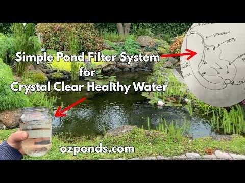 Simple Pond Filter System for Crystal Clear Healthy Water (Budget Options)