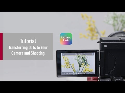 LUMIX Lab Tutorial | Transferring LUTs to the Camera and Shooting