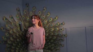 TV ad: Wickes: Proud as a Peacock