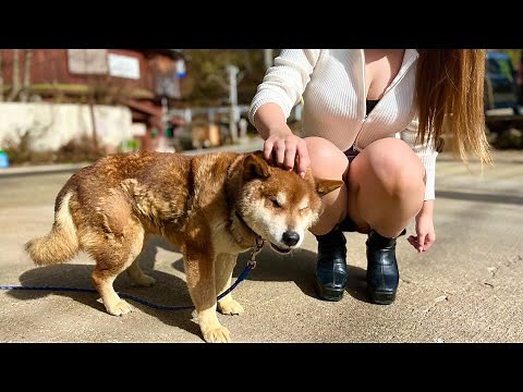 【女ひとり旅】奥飛騨温泉郷を満喫するOL