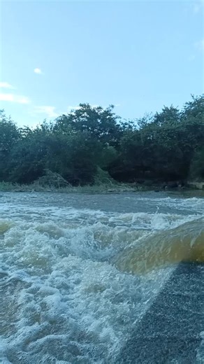 Videos de Andrés Ramírez Ospina (@andresramirezospina) con “Un Velero Llamado Libertad - José Luis Perales”