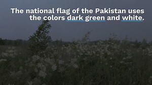 Pakistan Flag Colors HEX, RGB & HSL