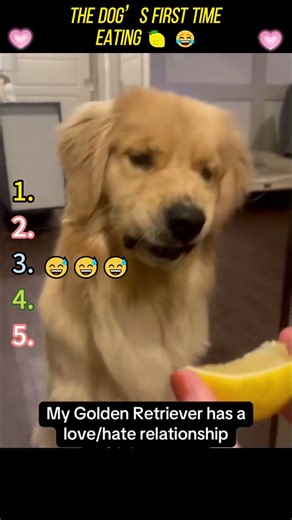 Por favor comparte con tus amigos #pov #herramientas #sketch #gracioso #actuación #historia