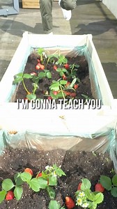 I’m really excited for my 1st ever Live Webinar! 😲🤩 Go grab tickets now: creativeExplained.com | creative explained