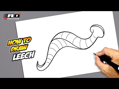 How to draw Leech