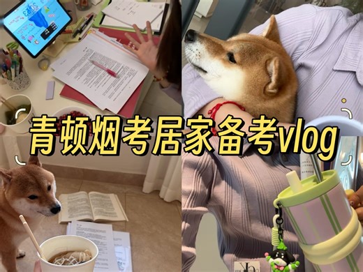 study with me|持续学习vlog|保持状态，坚持到底|烟草备考|青顿烟考