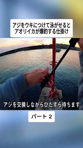 アジをウキにつけて泳がせるとアオリイカが爆釣する仕掛け #2 #釣り #それでも釣りに #穴釣り #魚料理 #fish #fishing #cooking #japan #viral #foryoupage #fyp