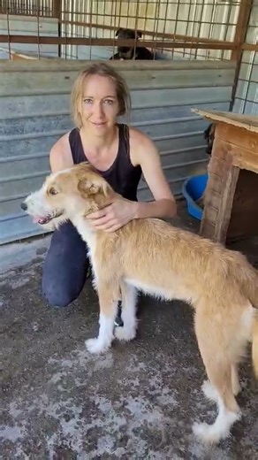 🌸 Kaya – voller Lebensfreude auf der Suche nach ihrem Glück 🐾