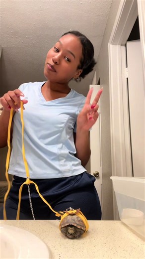 doing any & everything but unpacking 🤪 #fyp #turtle #anorriii | turtle