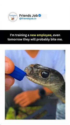 dekhte hain kya hota hai #shorts #memes