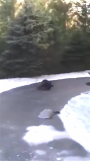 #zultancymbals #drummer #drummersoftiktok #cymbals