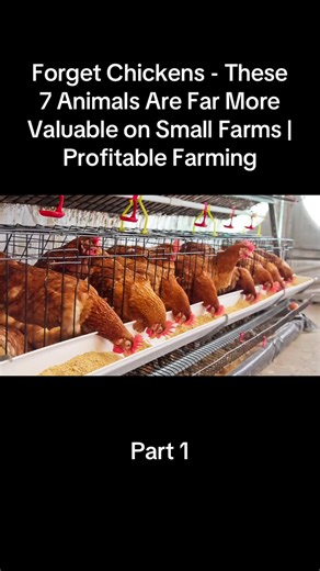 7 Profitable Animals for Small Farms Beyond Chickens