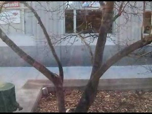 Carl Sagan Memorial Monument Sagan Planet Walk Ithaca NY