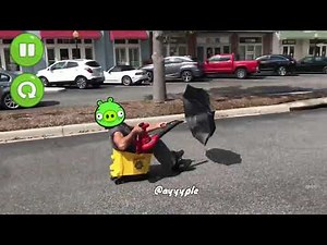 Bad piggies In Real Life Remastered