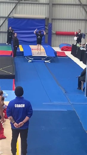 Understanding TikTok Video Trends and Algorithm Effects