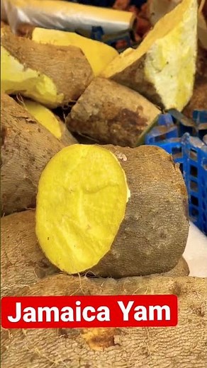 Jamaica Yam one of the best in the world! Jamaica Chef Caribbean Chef #shorts