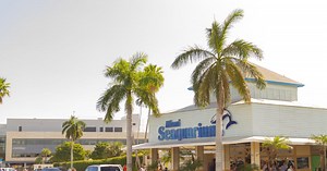 Video shows dolphin attacking trainer during performance in Florida